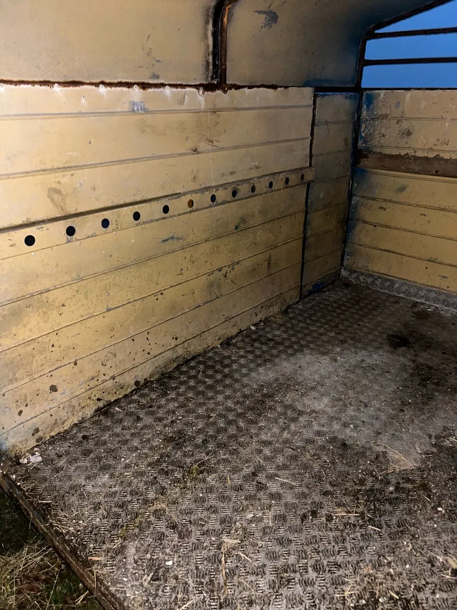 8x5 cow box - Image 4