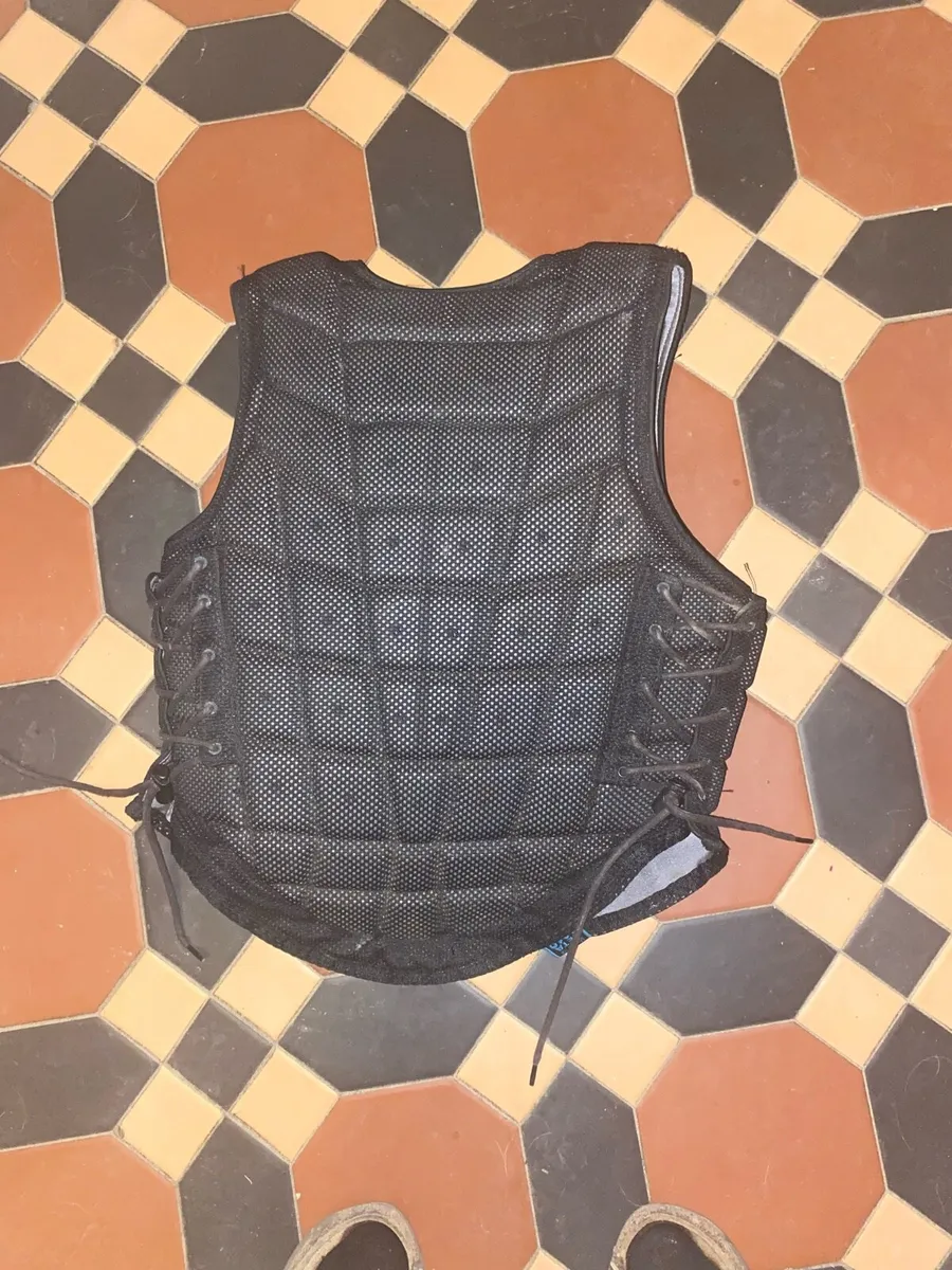 Champion Ti 22 Back Protector - Image 2