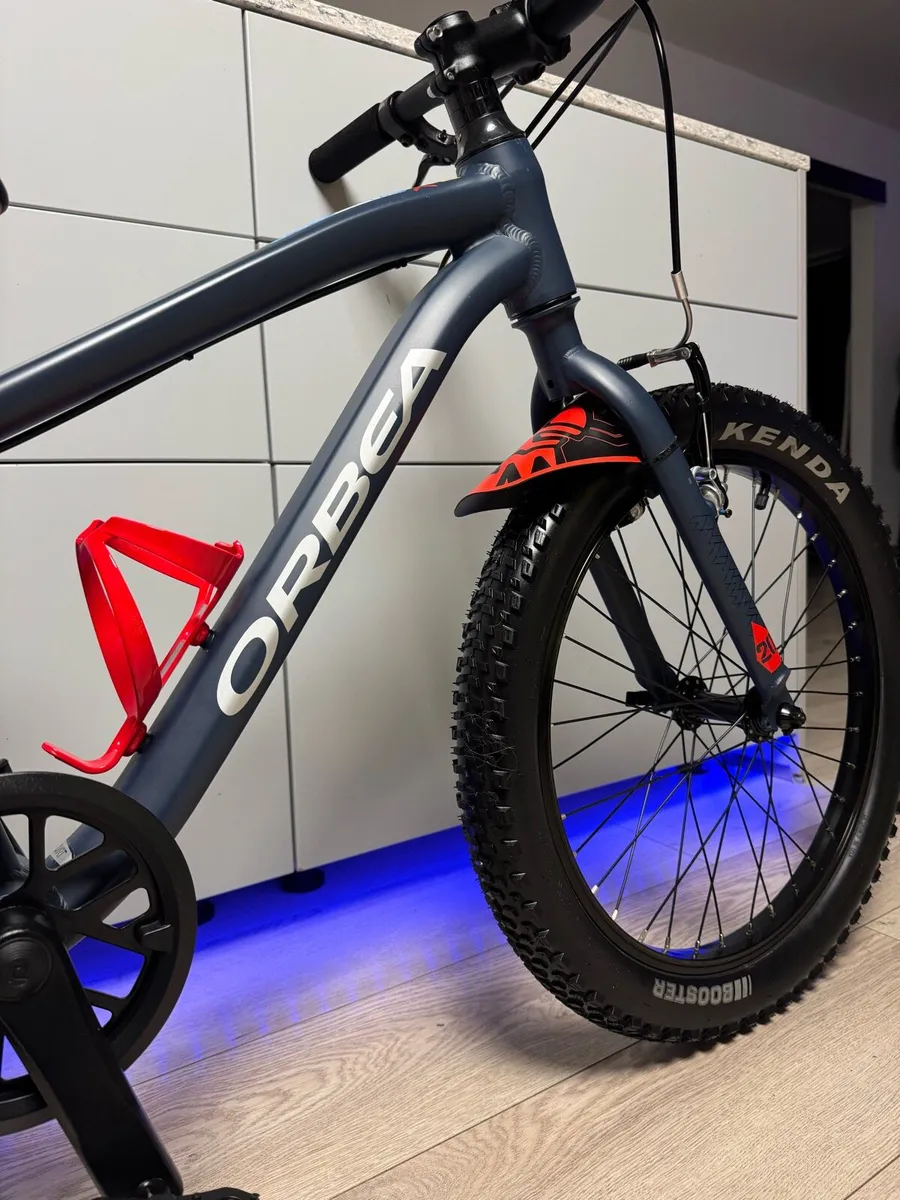 ORBEA MX20 Dirt Kids Bike 20 inch - Image 3