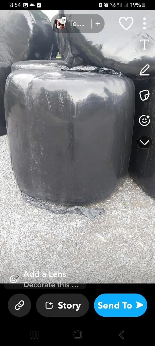 Round  bales   off  silage - Image 1