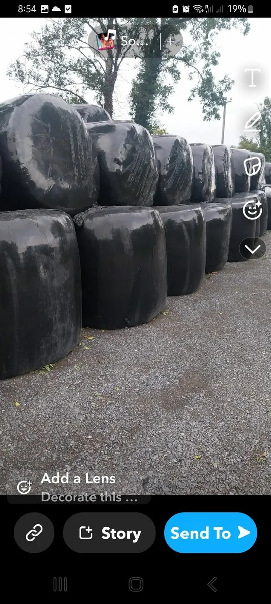 Round  bales   off  silage - Image 2