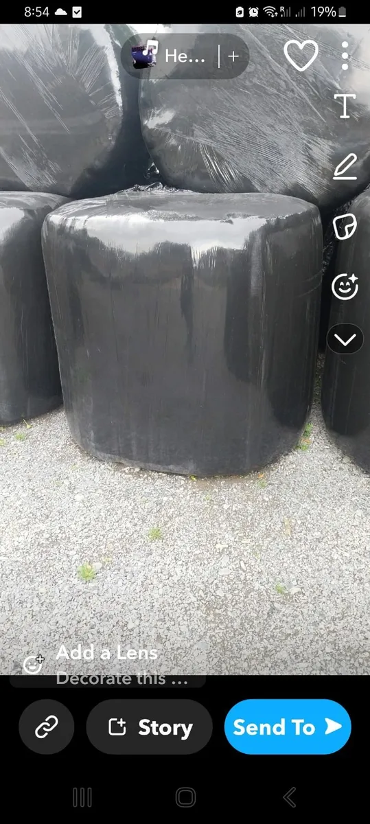 Round  bales   off  silage - Image 3