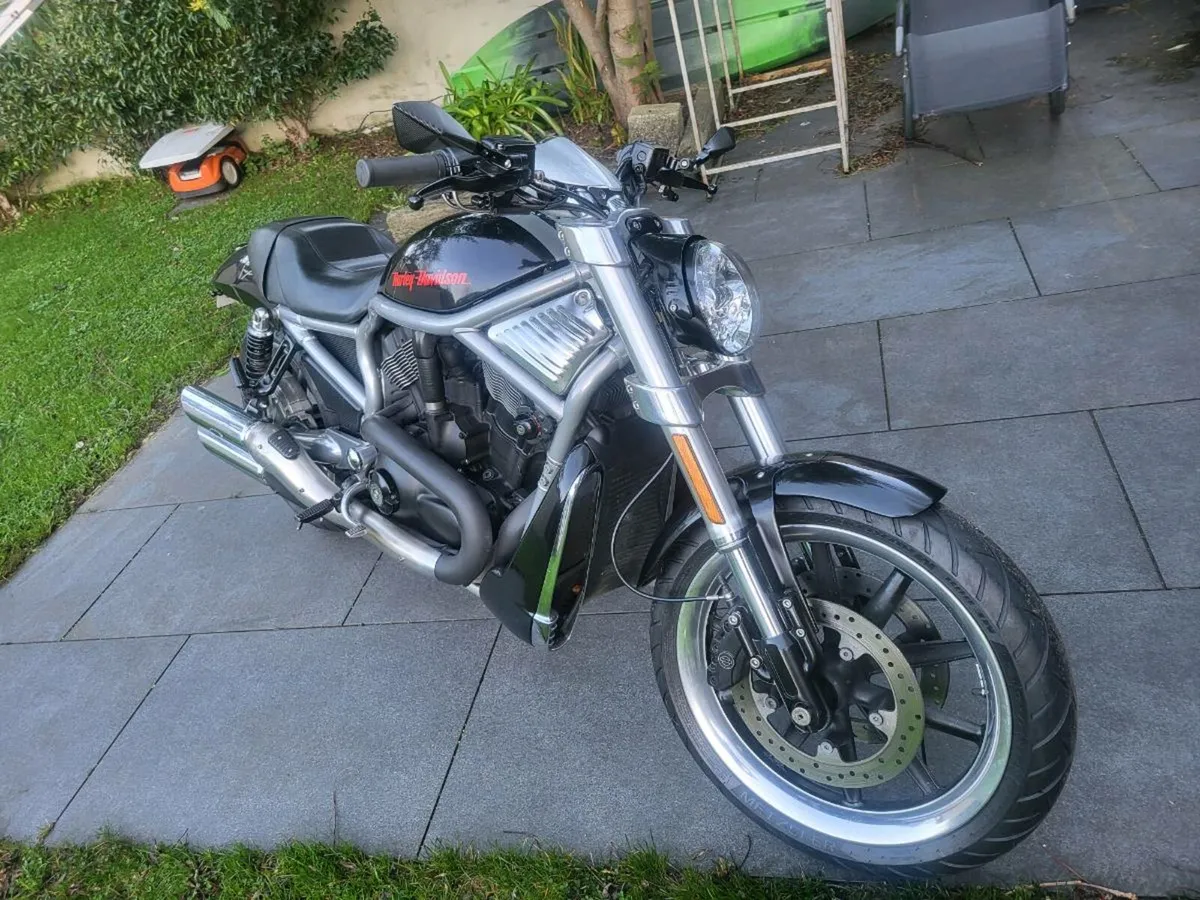 Harley davidson - Image 1