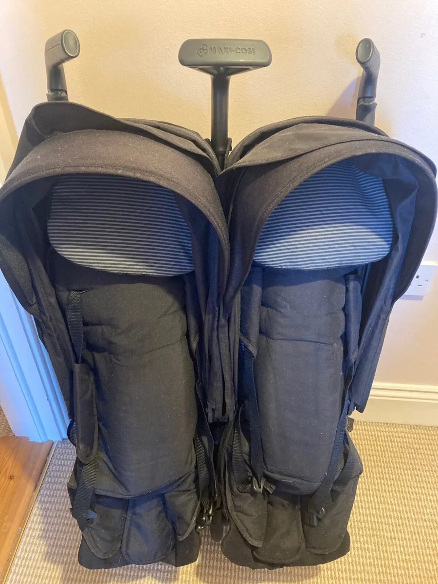 Double Buggy - Image 2