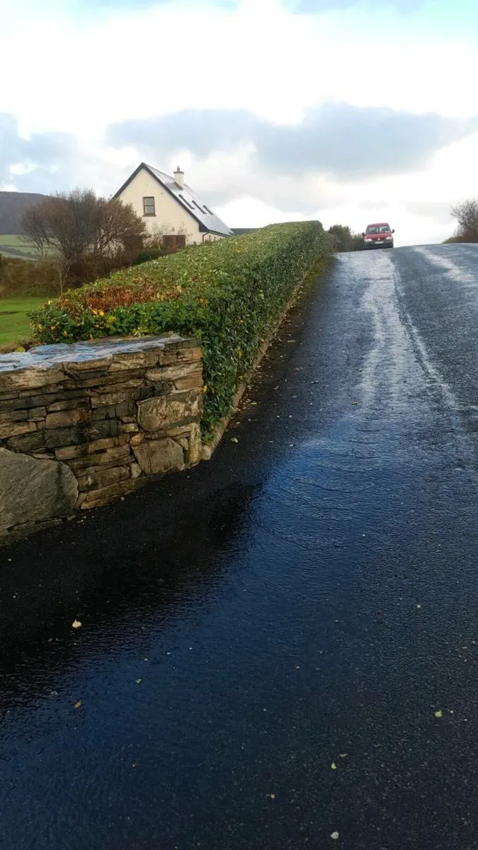 Landscaping and gardening services. - Image 1