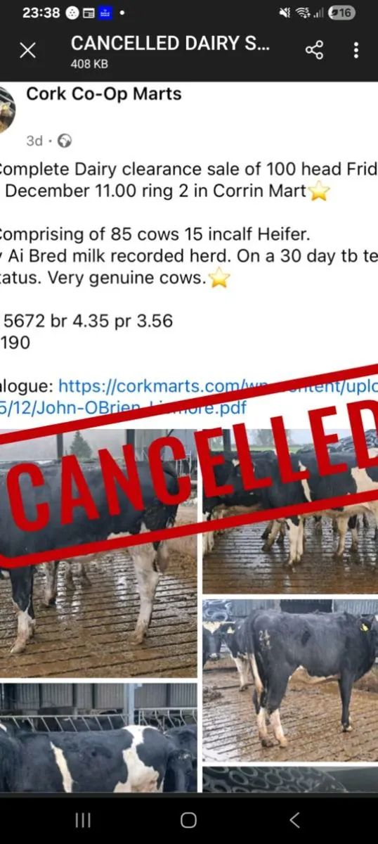 Complete Dairy clearance 12th December 100 cows