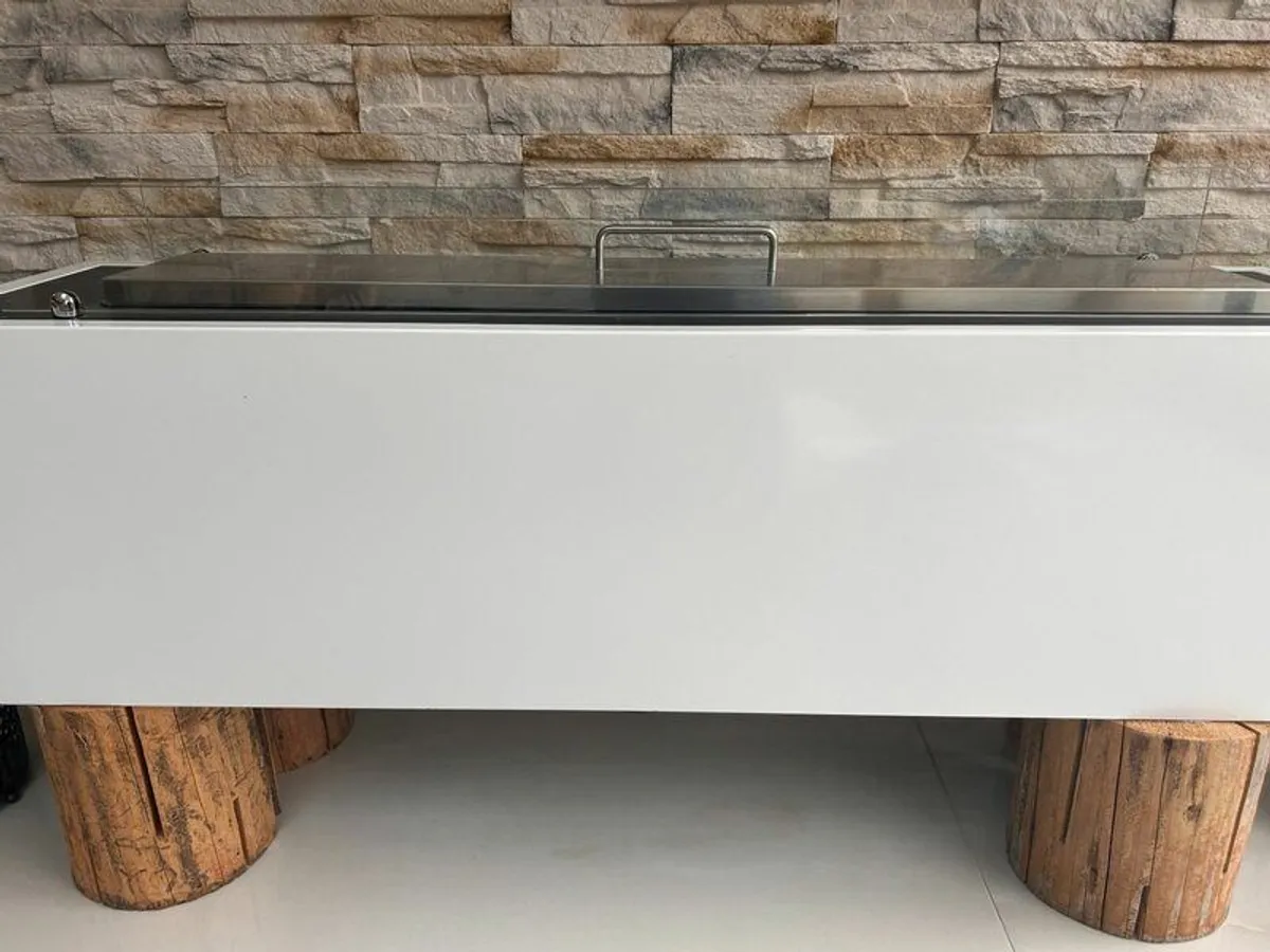 Bi Ethanol Fire - Image 1