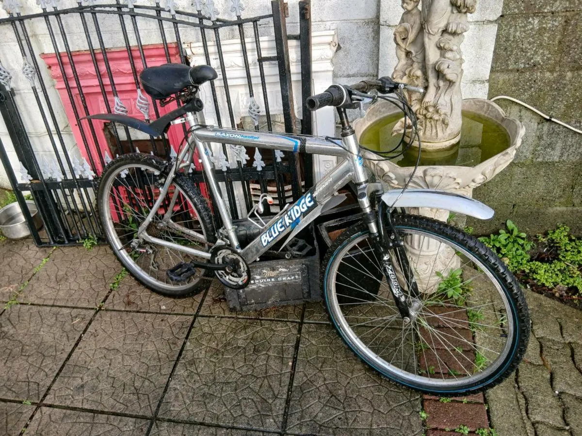 Gents mountainbike new - Image 1