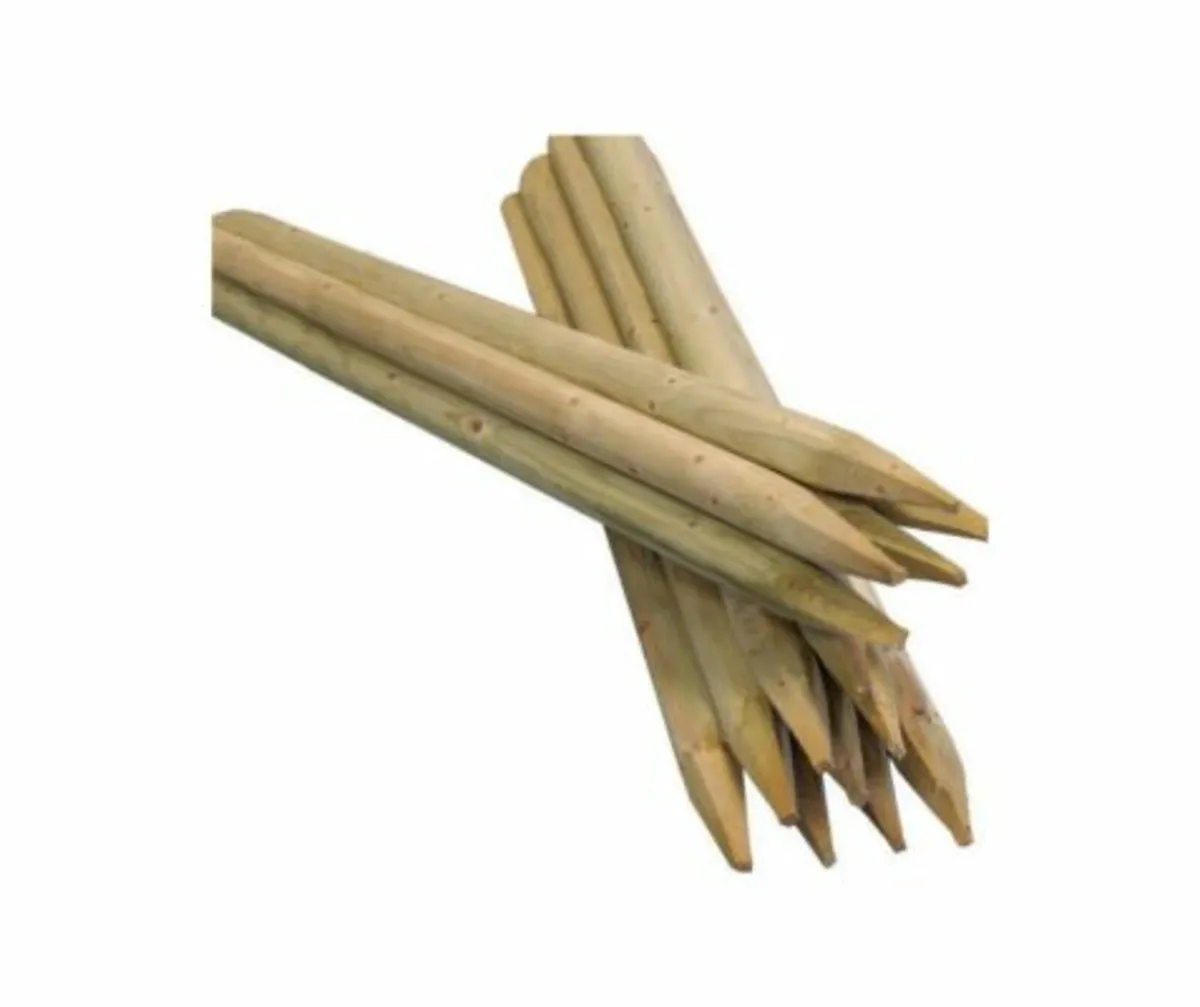Tree Stakes Round - Image 2