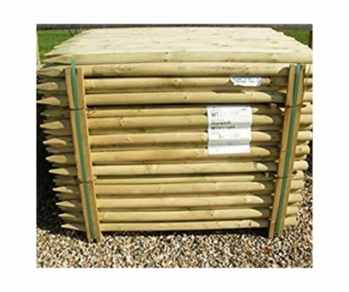 Tree Stakes Round - Image 1