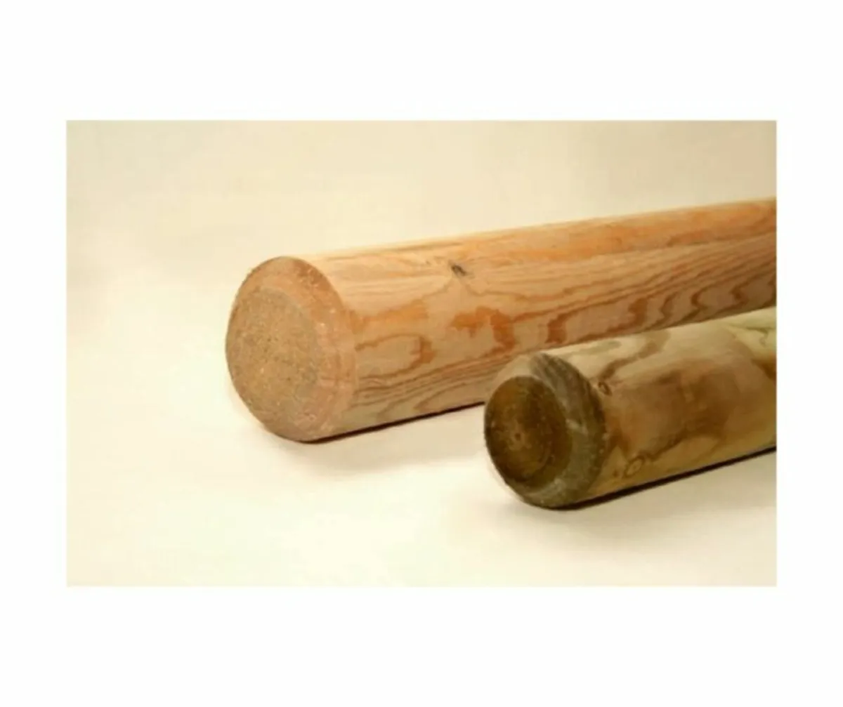 Tree Stakes Round - Image 4