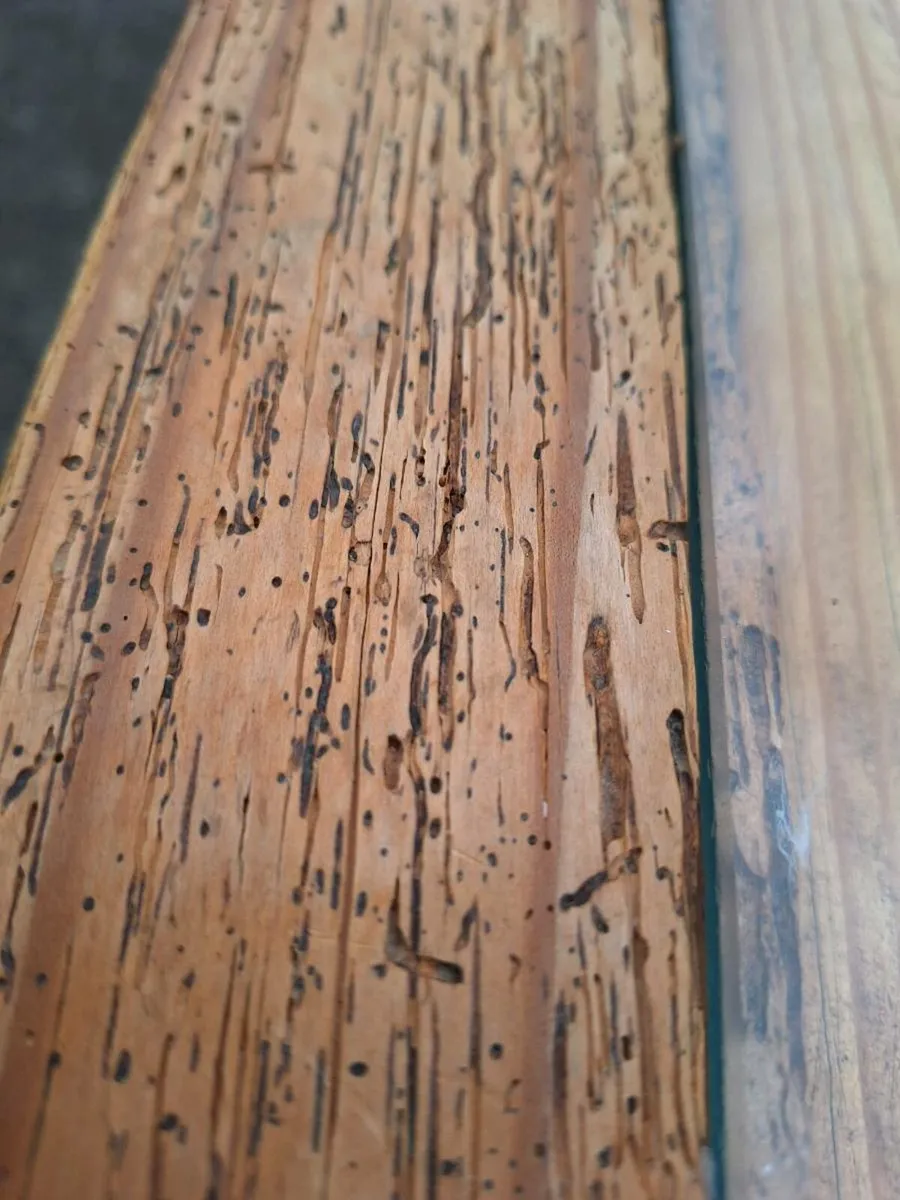 Unusual wood worm effect coffee table - Image 3