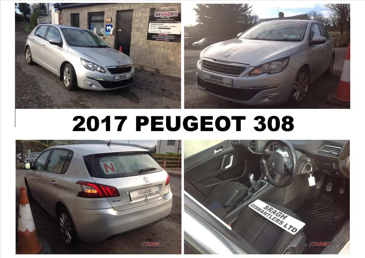 Peugeot 206/207/208/307/308/508 collection - Image 4