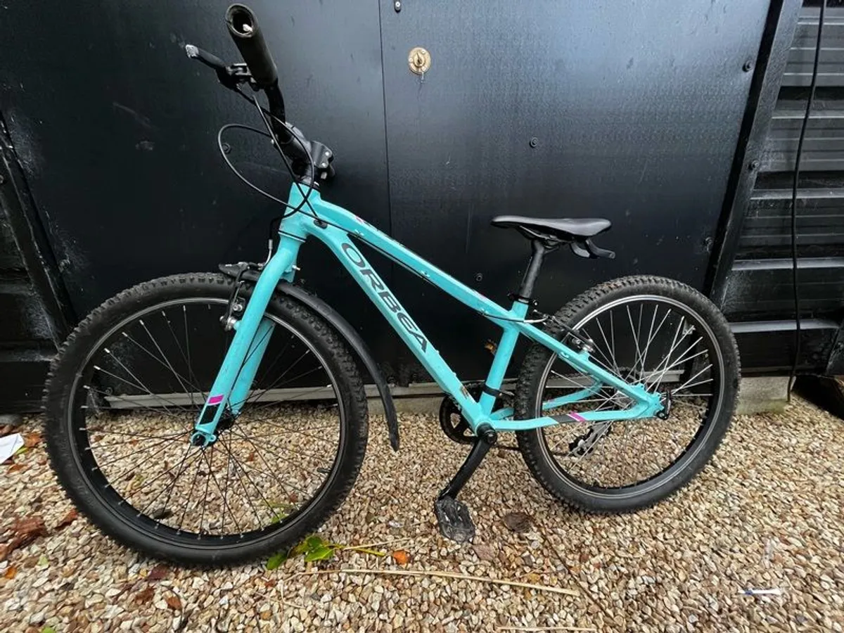 Orbea MX24 Kid's Mountain Bike