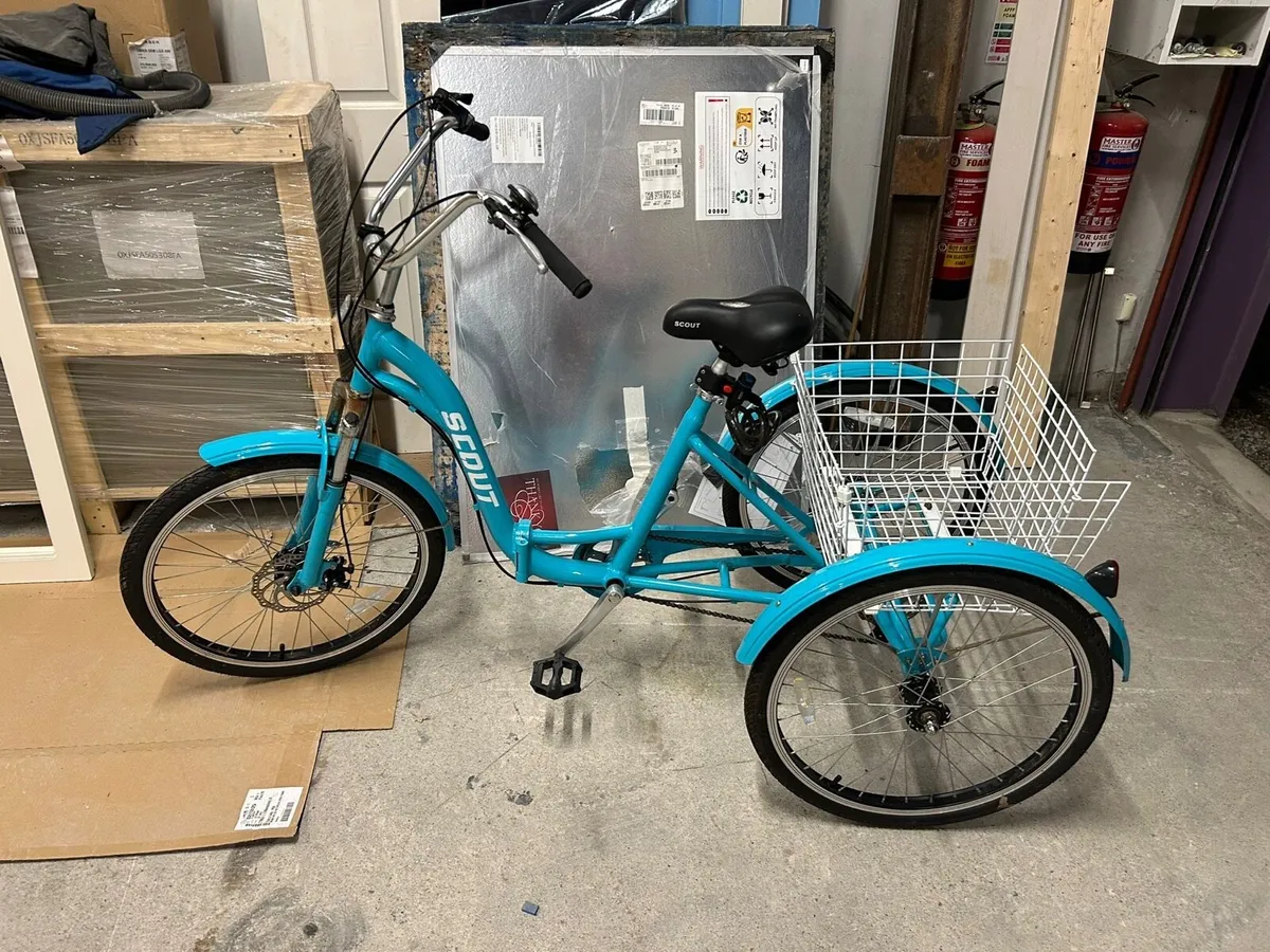 Electric bike/ Road bike / Adult Trike - Image 1