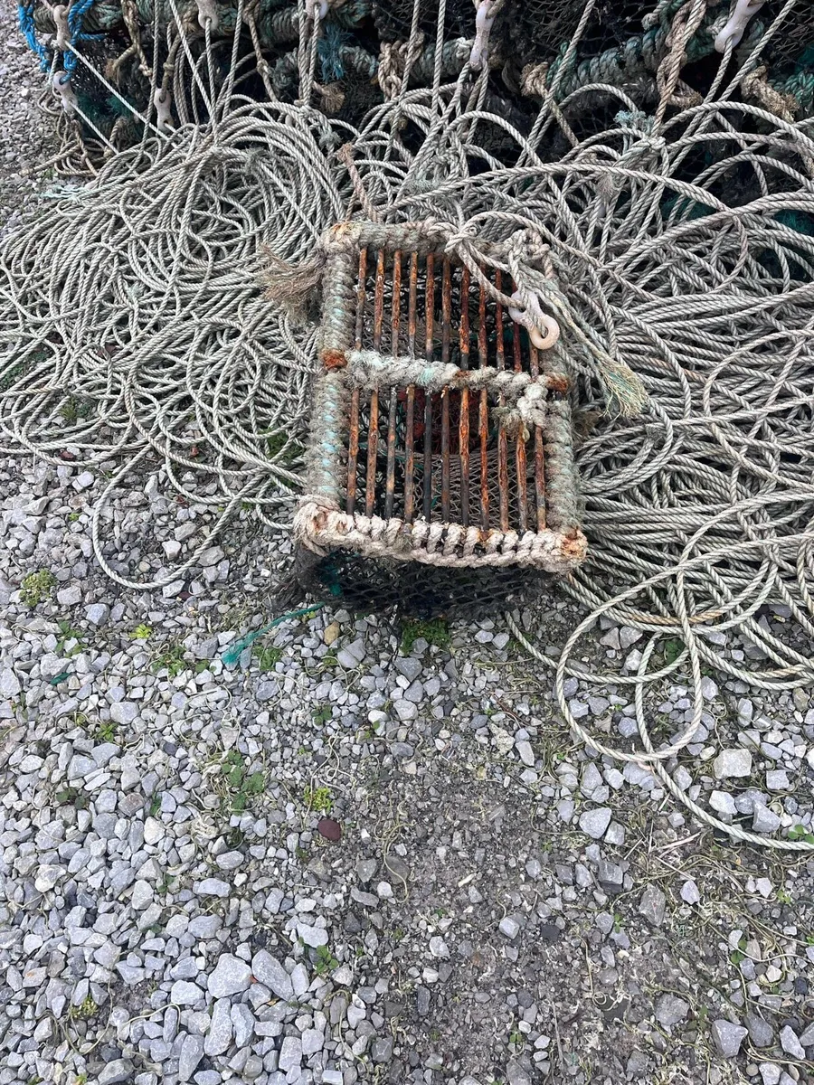 Lobster pots - Image 3