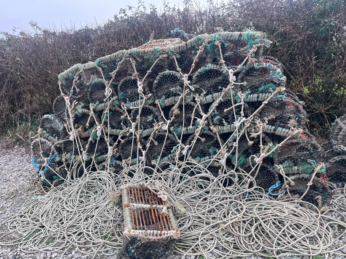 Lobster pots - Image 4