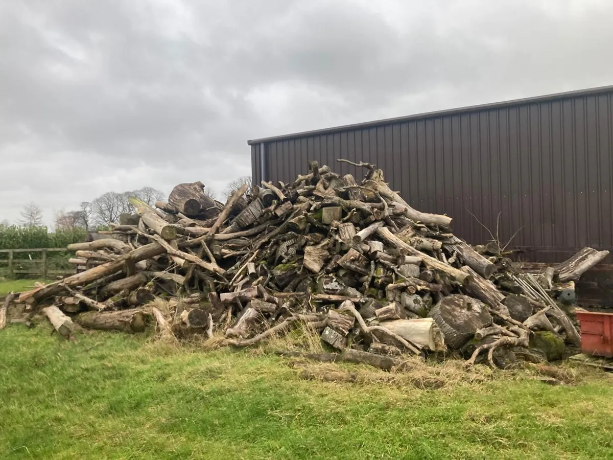 Fire Wood - Image 2