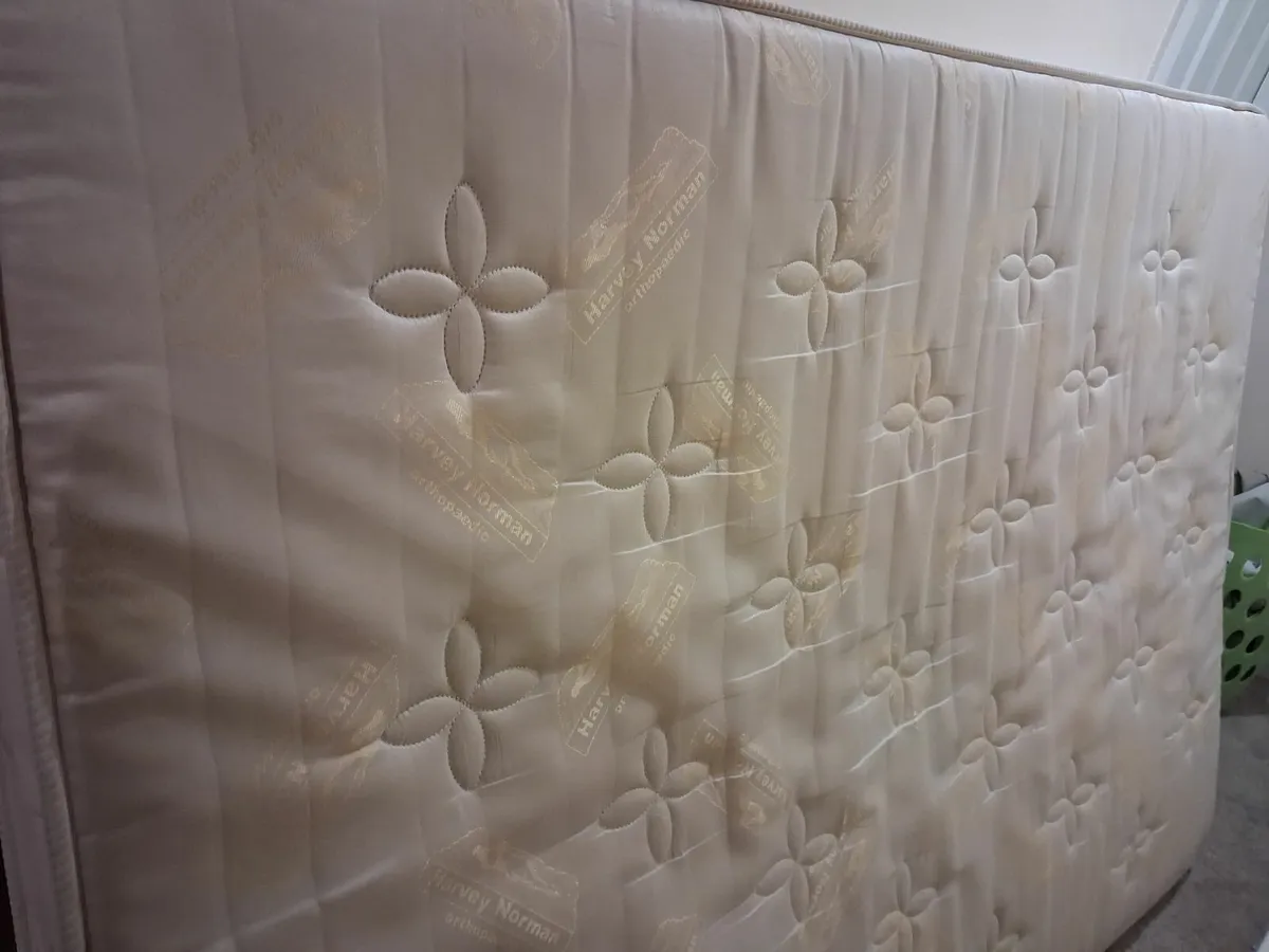 Free Double Mattress - Image 1