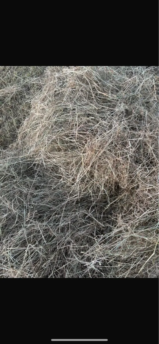Hay-silage-haylage - Image 2