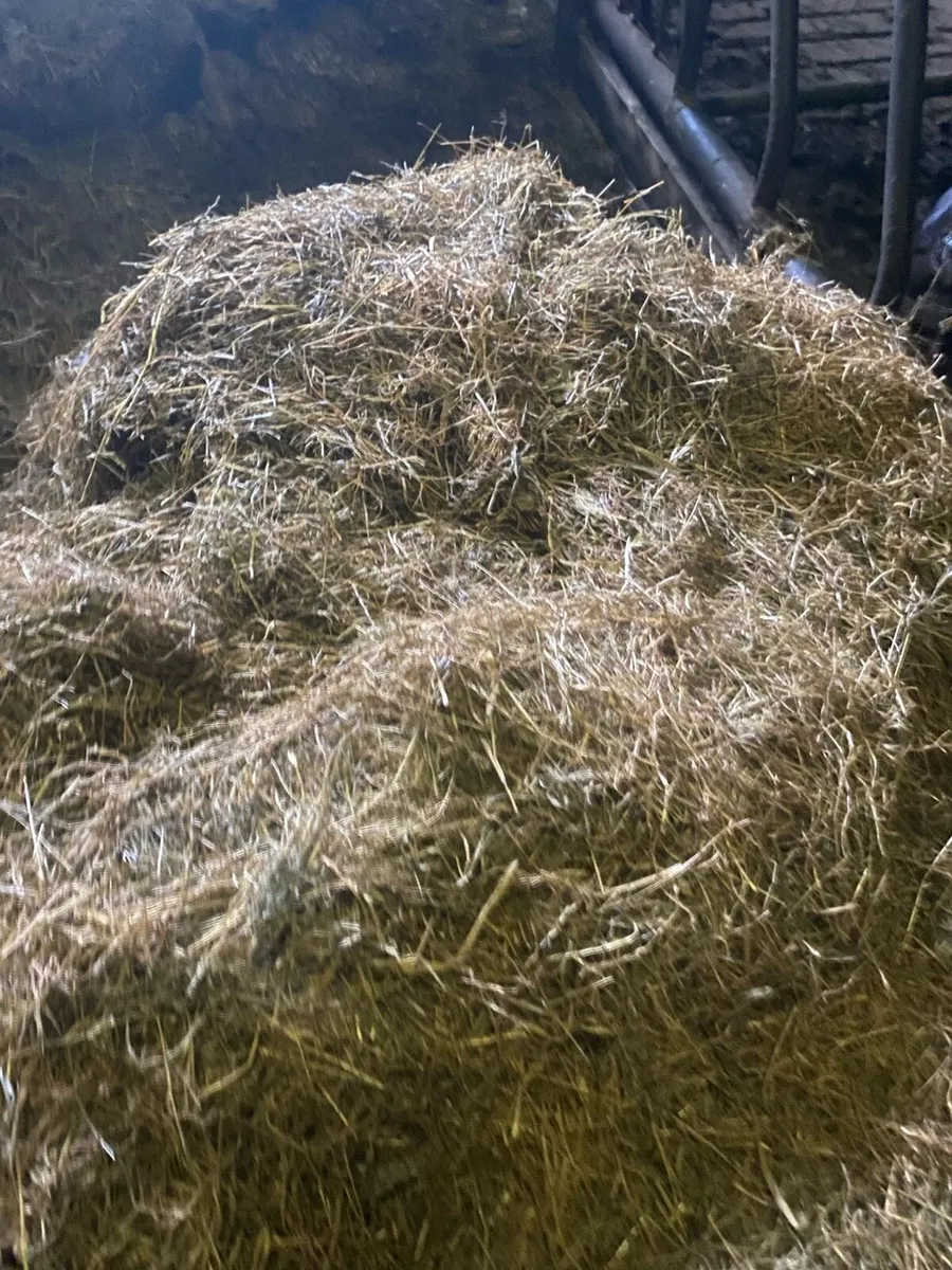 Hay-silage-haylage - Image 4