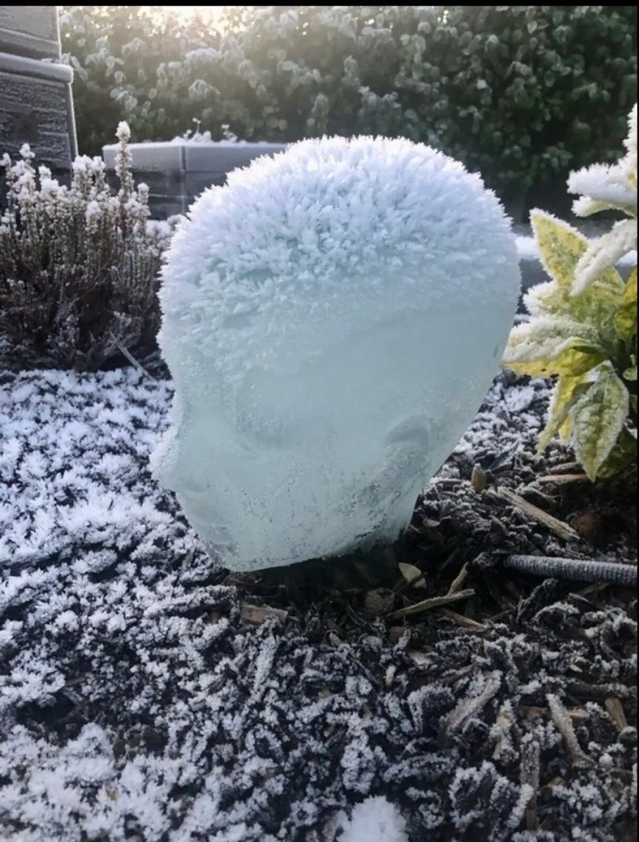 Glass head - Image 3