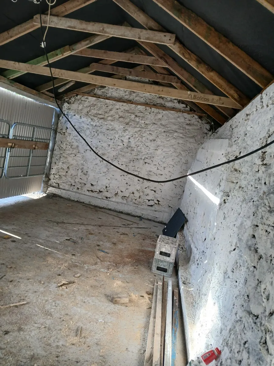 Storage shed - Image 2