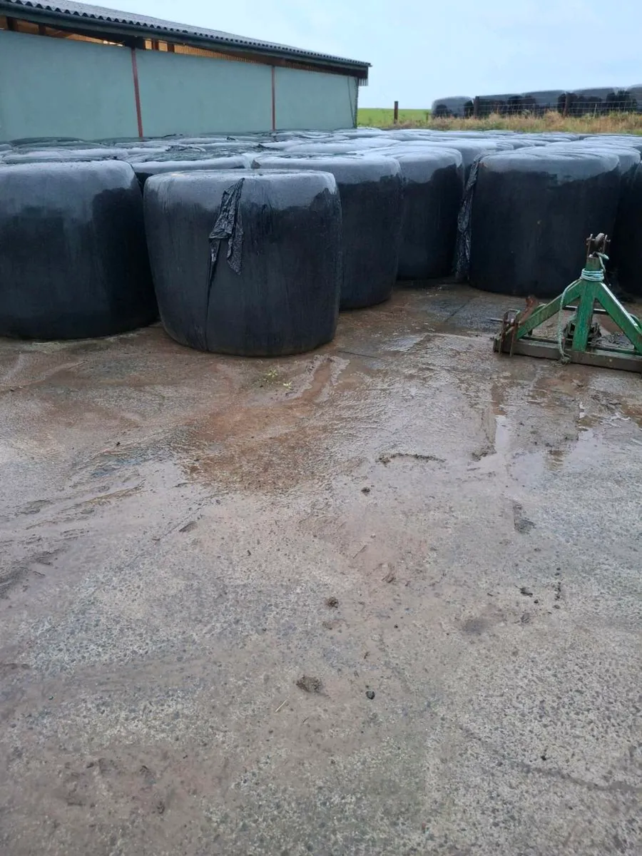 Silage bales - Image 1