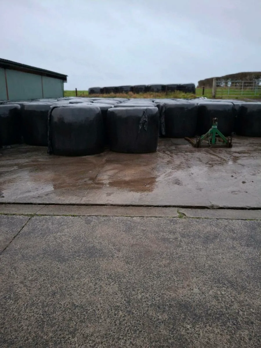 Silage bales - Image 2