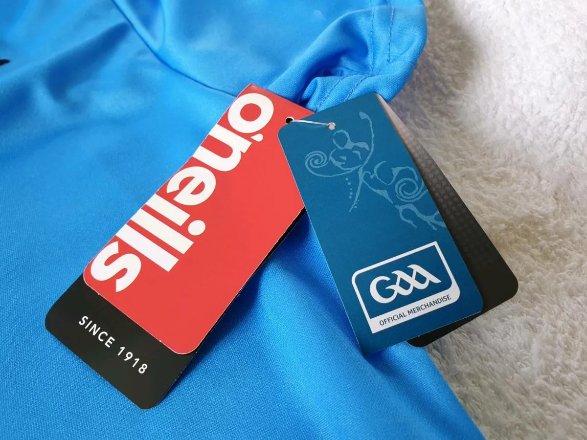 Dublin Gaelic Football Home Jersey 2020 to 2021 L - Image 4