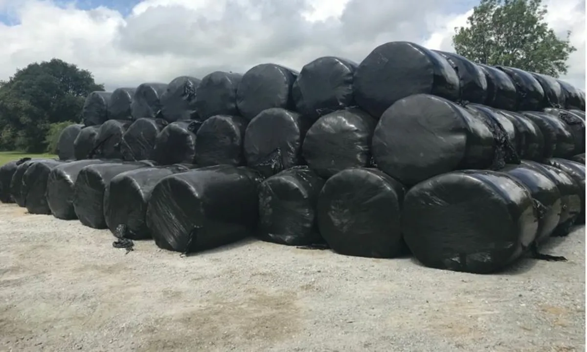 Top quality bales of silage - Image 1