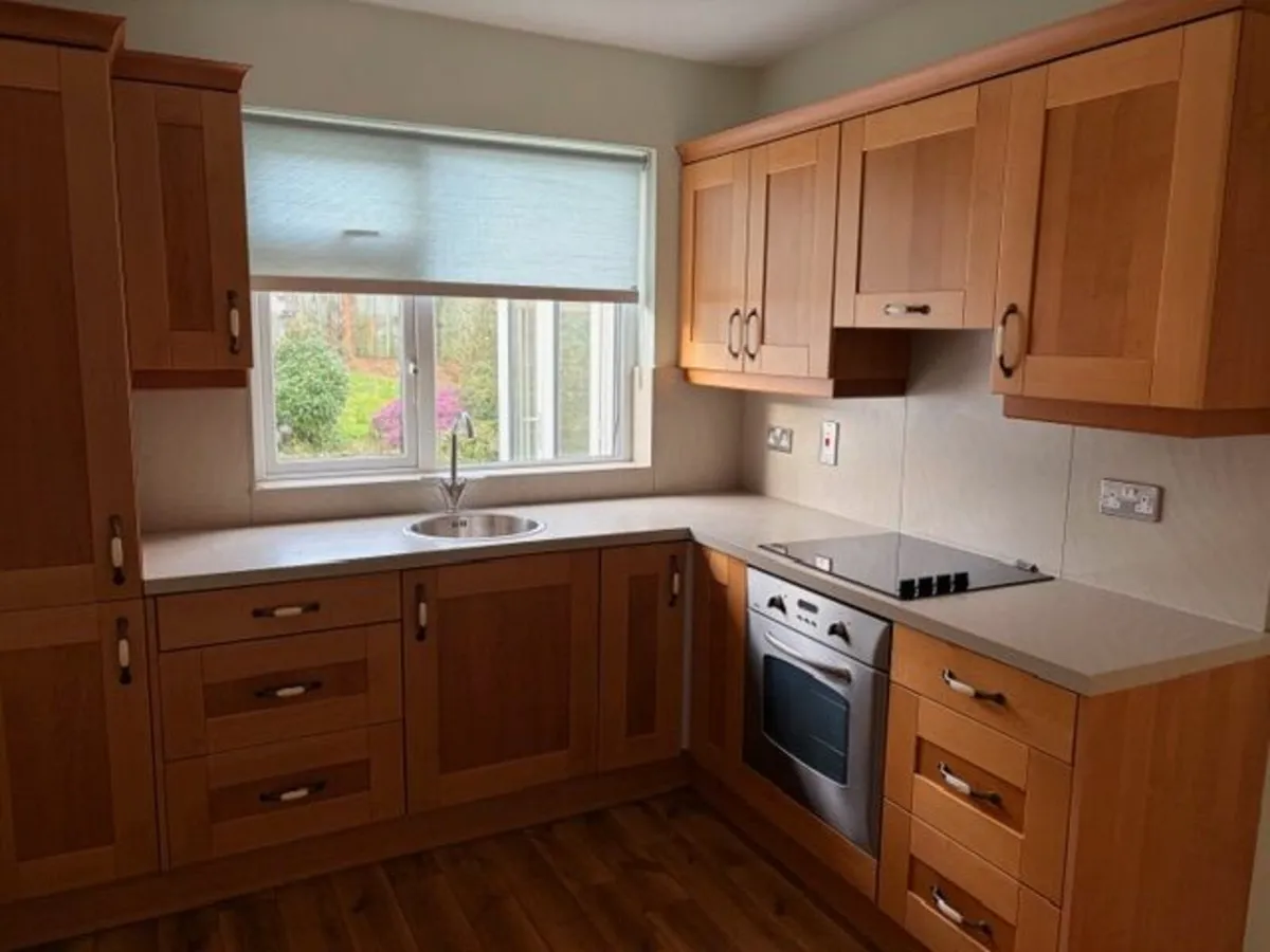 house salvage - Image 4