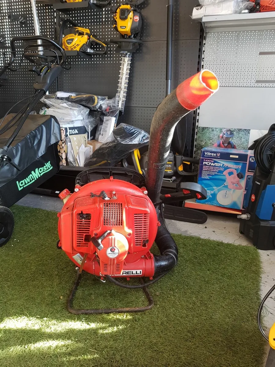 PETROL BACKPACK BLOWER - FOR SALE - Image 1