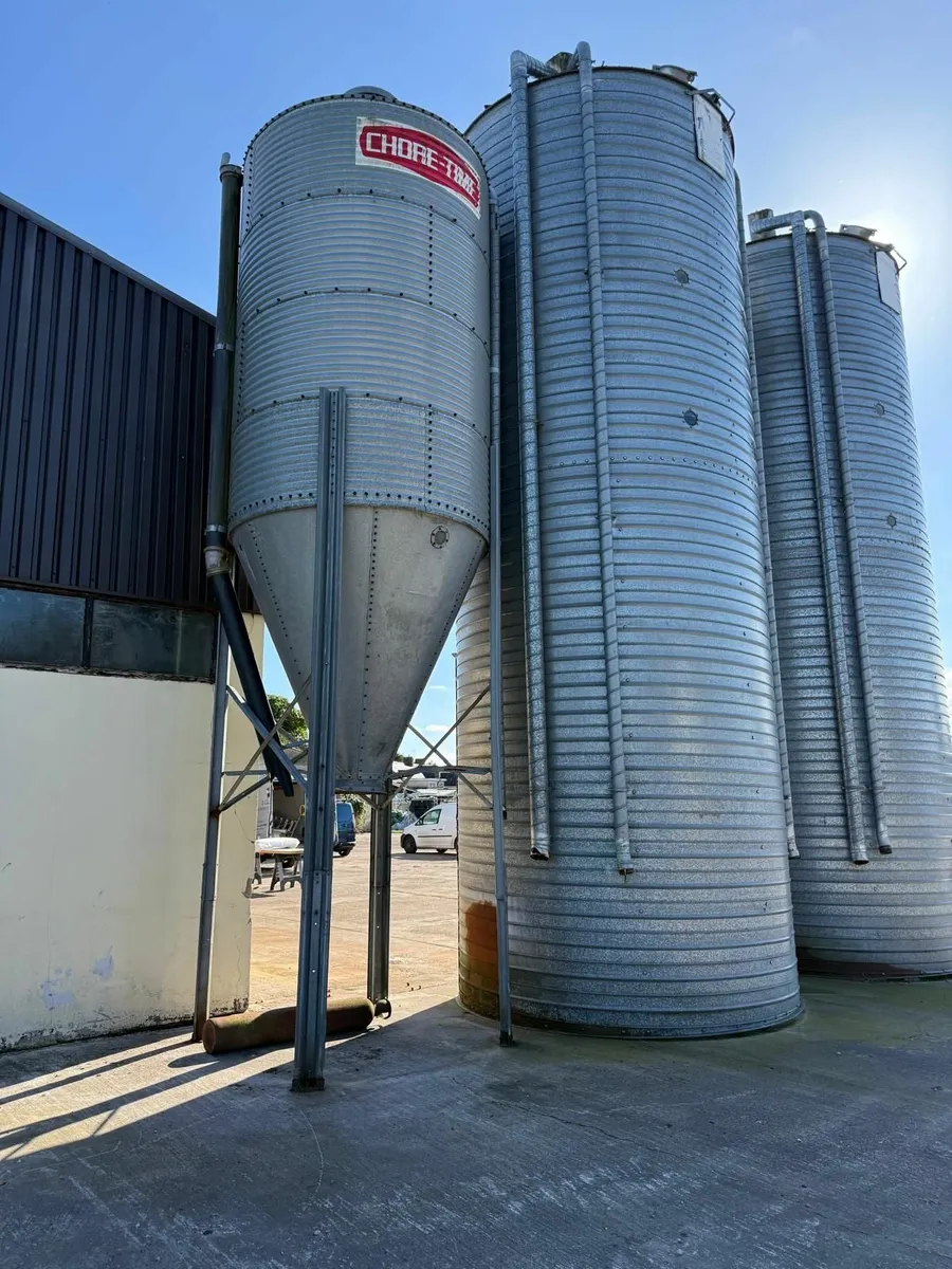 For Sale by Auction - Image 4