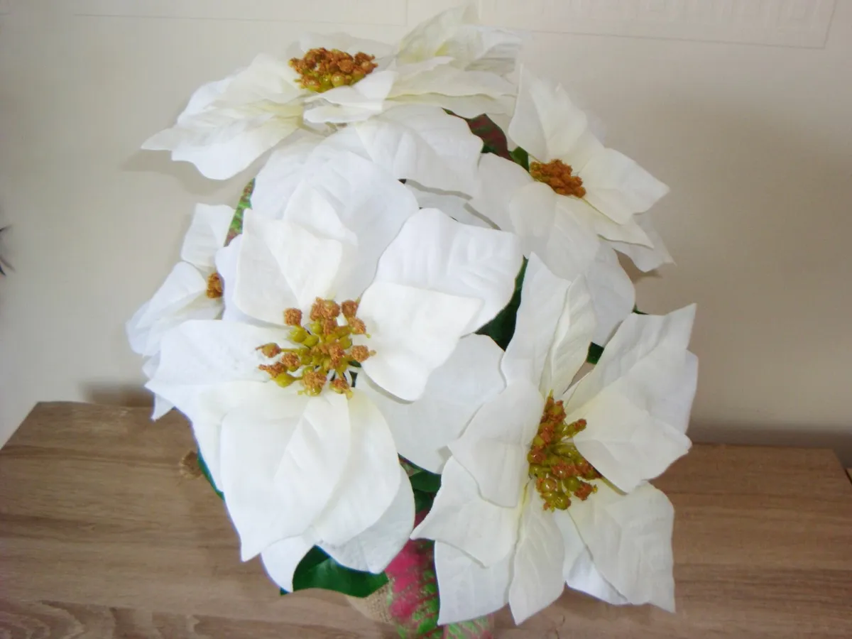 Large poinsettia H44cm - Image 2