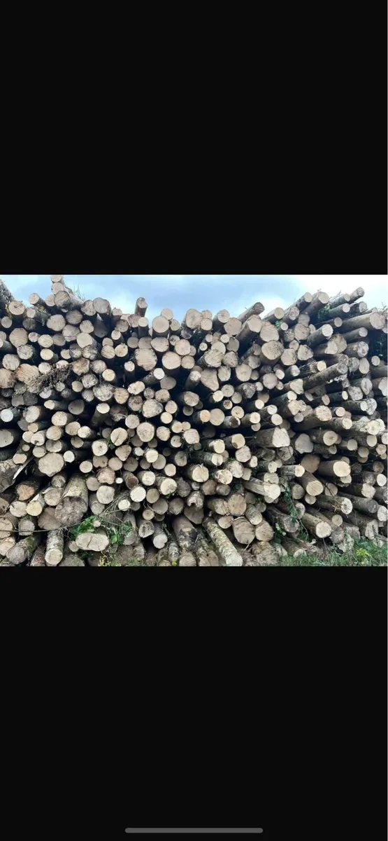 Artic load hardwood firewood - Image 1