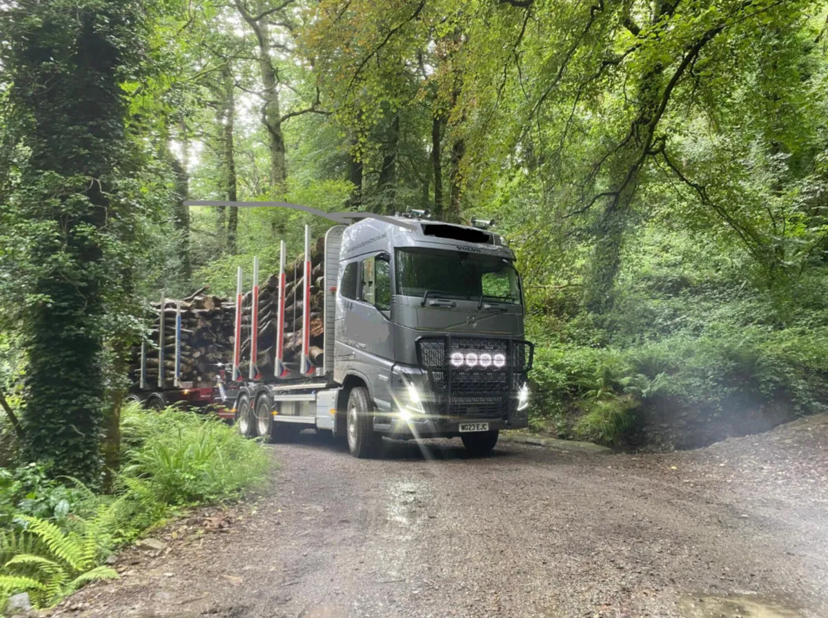 Artic load hardwood firewood - Image 3