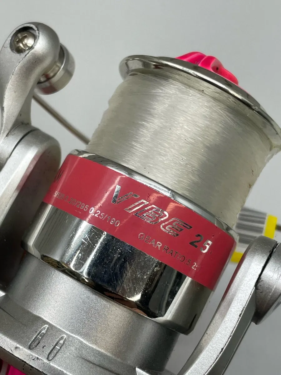 Dam Vibe Reel - Image 2