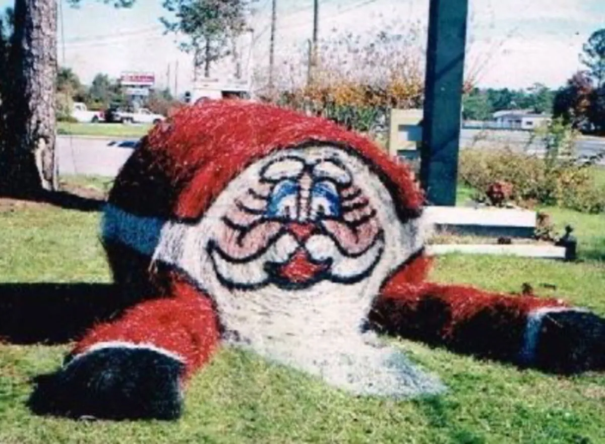 HAY & STRAW    Delivery Available - Image 1
