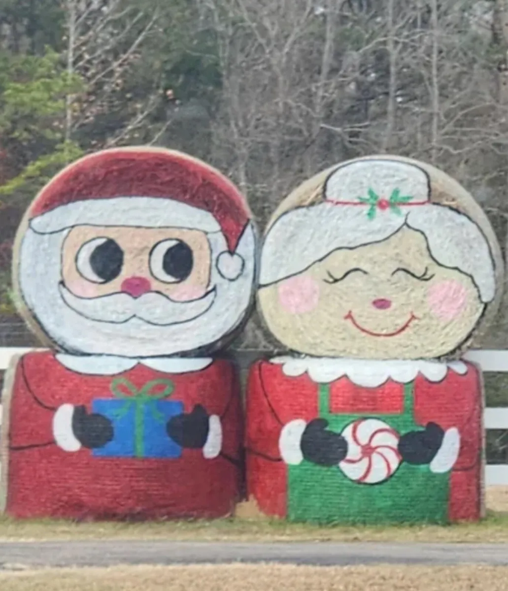 STRAW & HAY     Delivered to Farm - Image 1