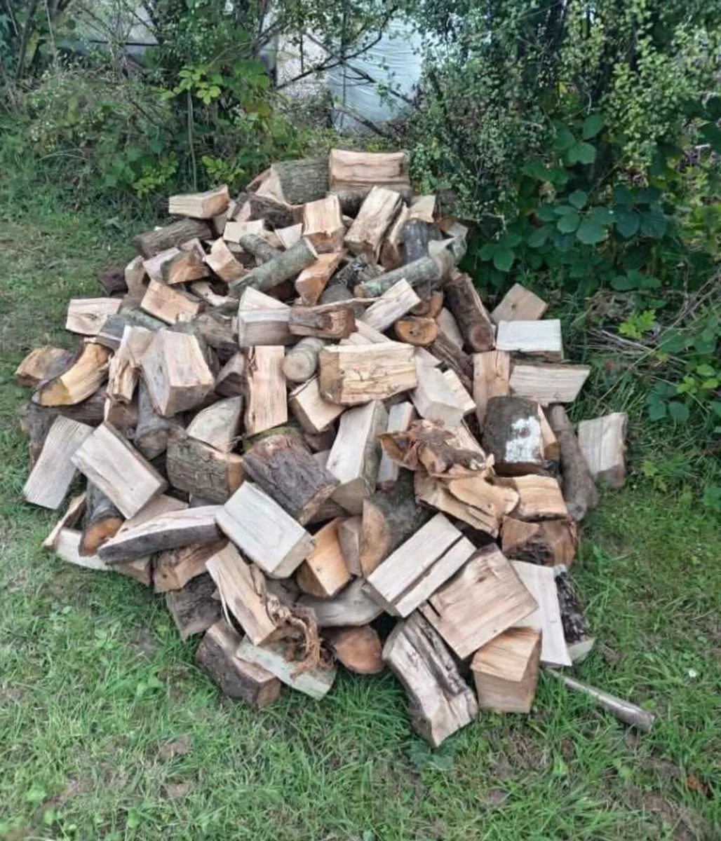 Trailer load of timber - Image 2