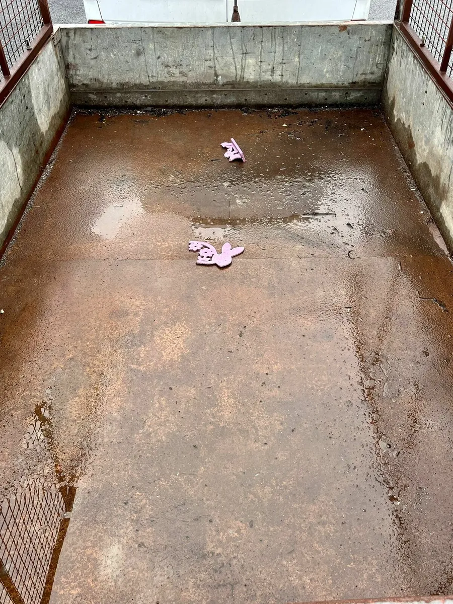 8x5 ifor Williams trailer - Image 4