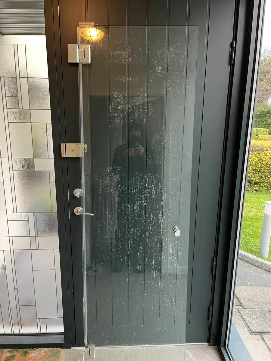 Glass Shower Door