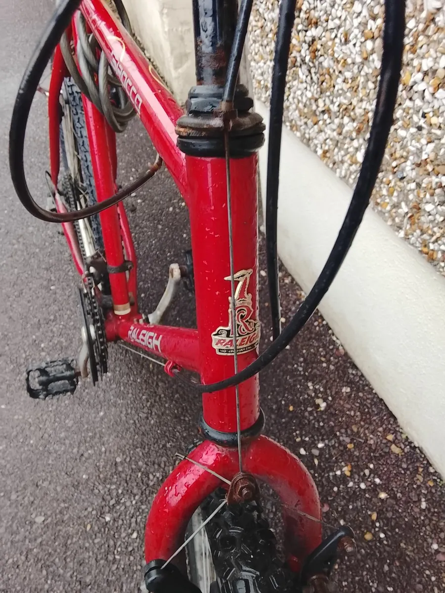 Scirocco Raleigh rare bike - Image 2