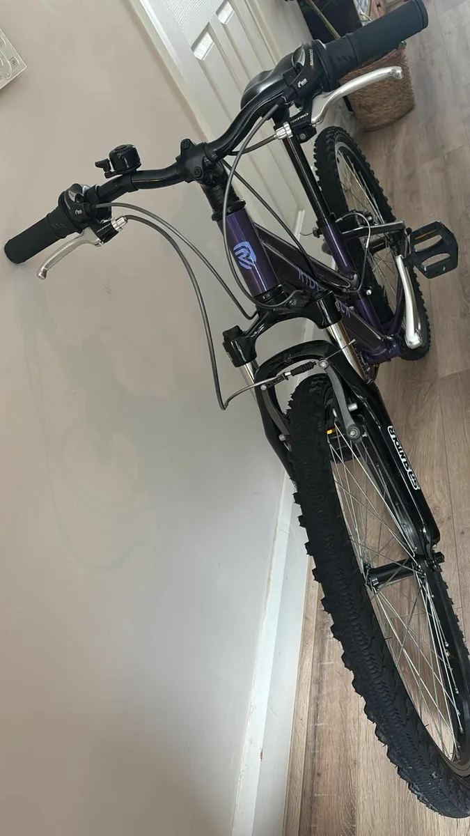 Ridgeback Bike 9yrs-13yrs - Image 1