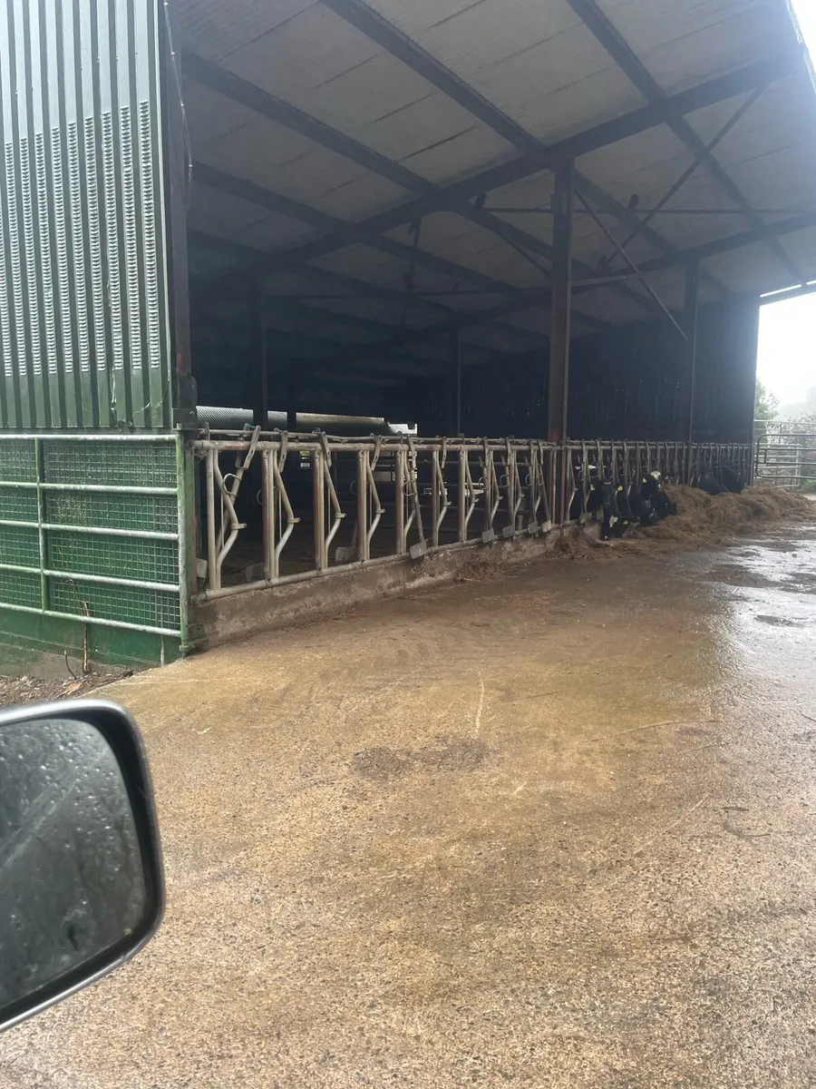 Self locking barriers - Image 2