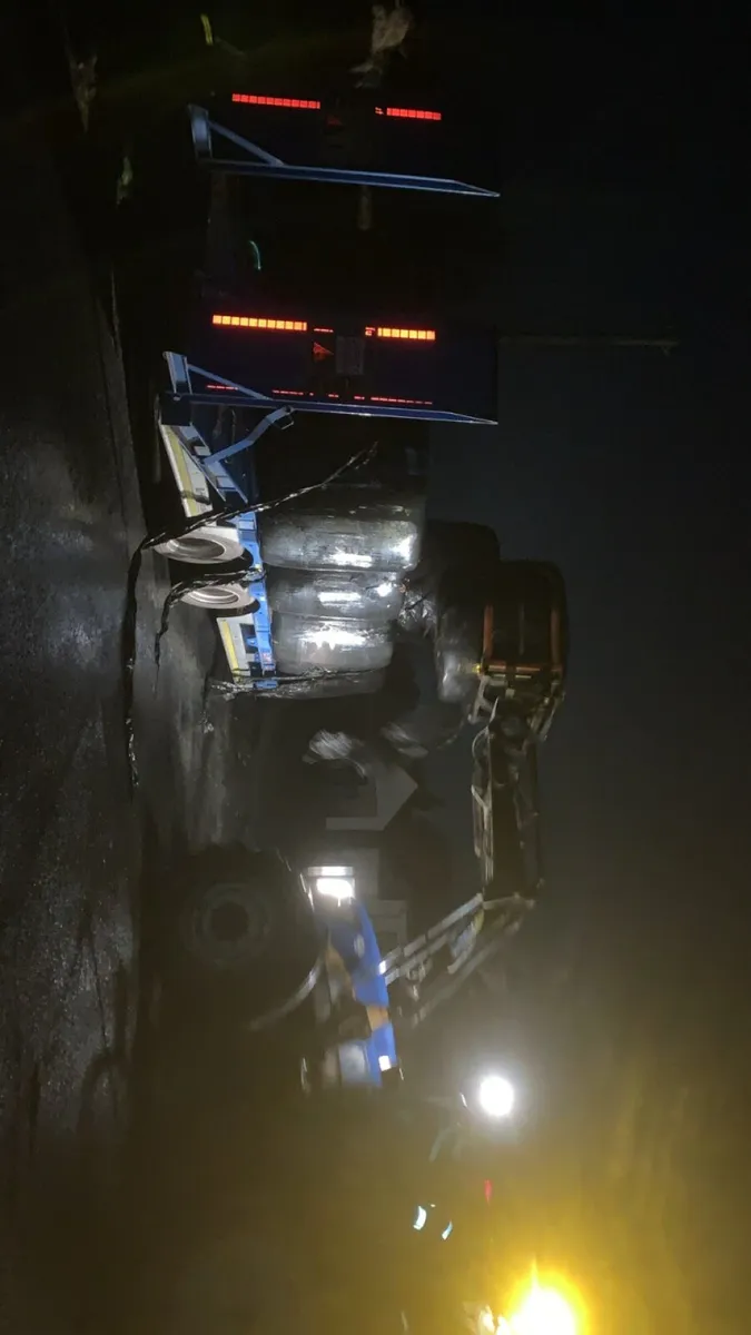 Top quality silage plus square bales - Image 3