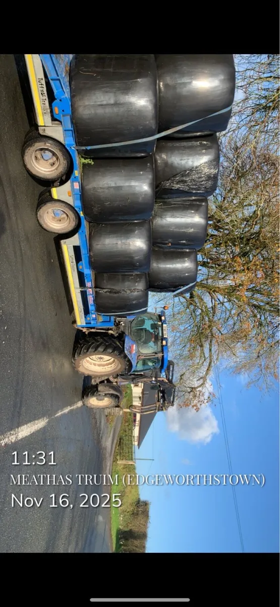 Top quality silage plus square bales - Image 4