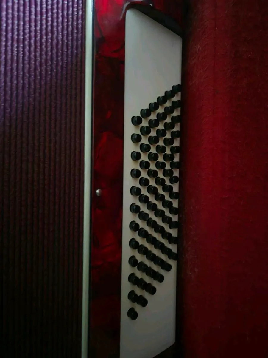 Accordian - Image 4