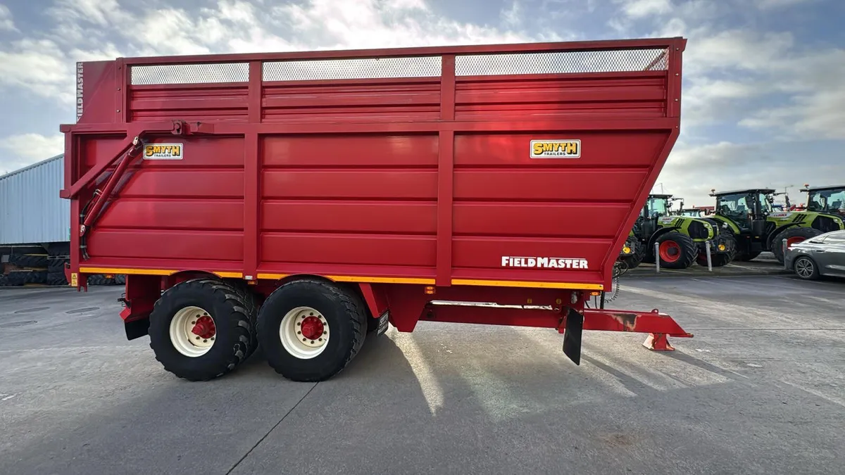 Smyth FM 18 Super Cube - Image 4